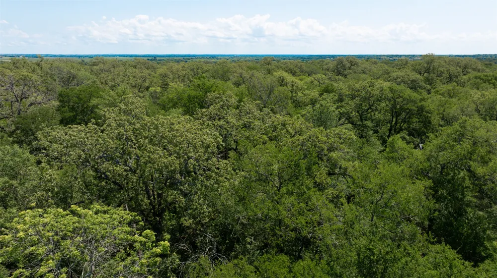 1717 County Road 402 Bartlett, TX 76511