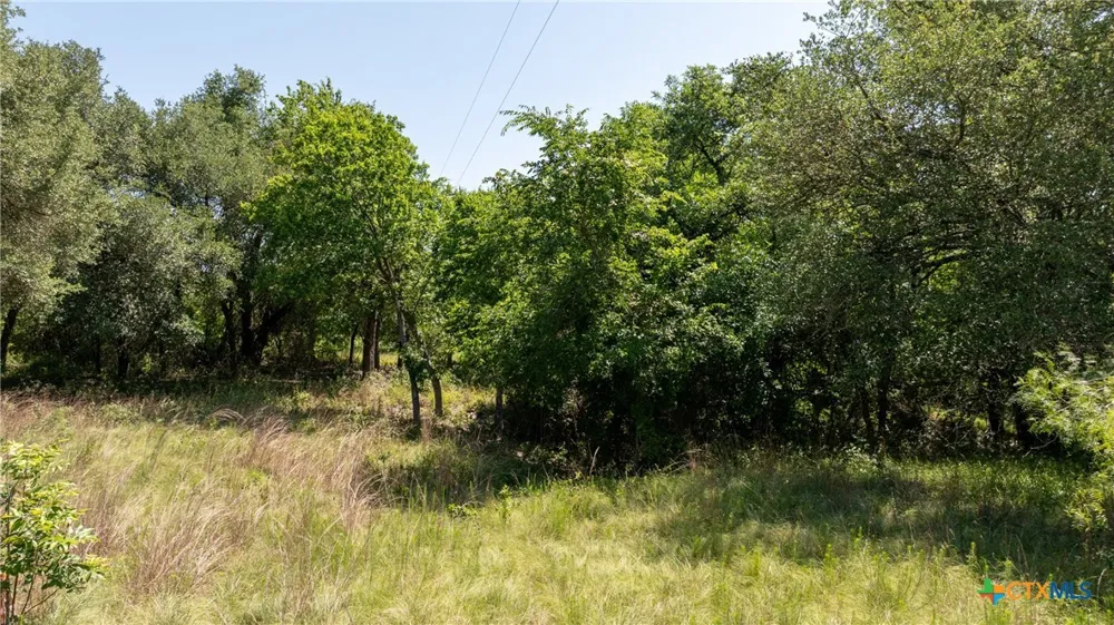 1717 County Road 402 Bartlett, TX 76511