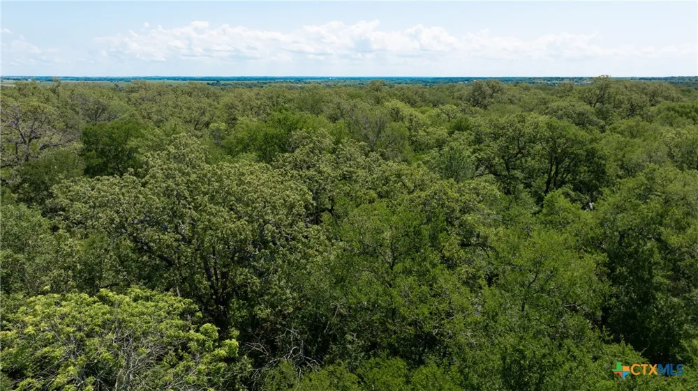 1717 County Road 402 Bartlett, TX 76511