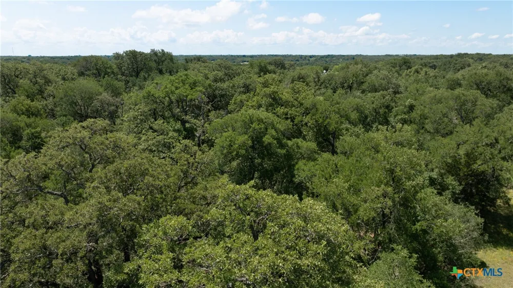 1717 County Road 402 Bartlett, TX 76511
