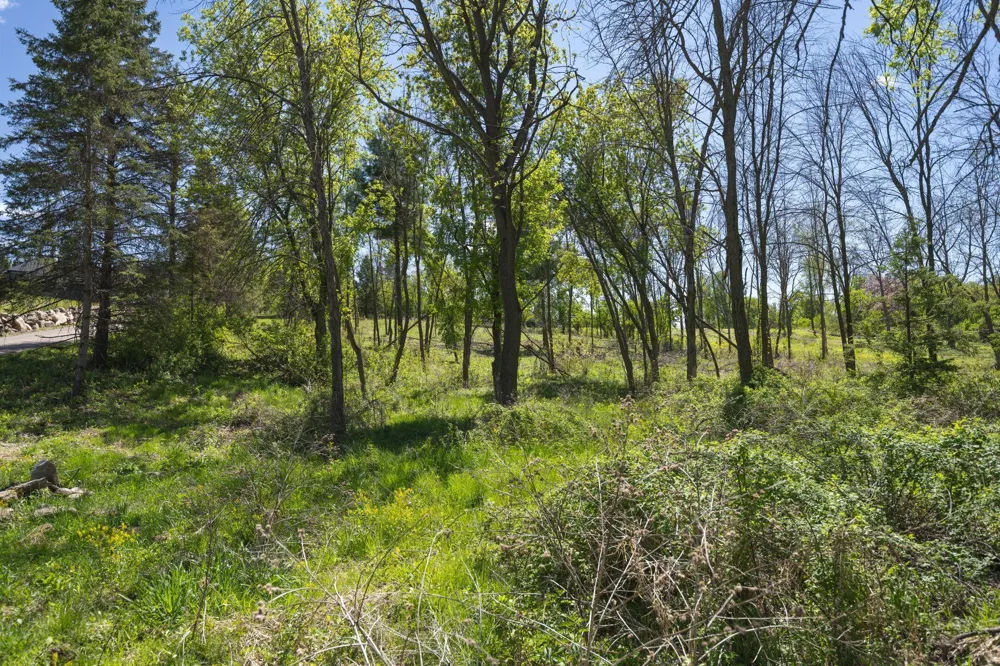 14659 30th Street Stillwater, MN 55082