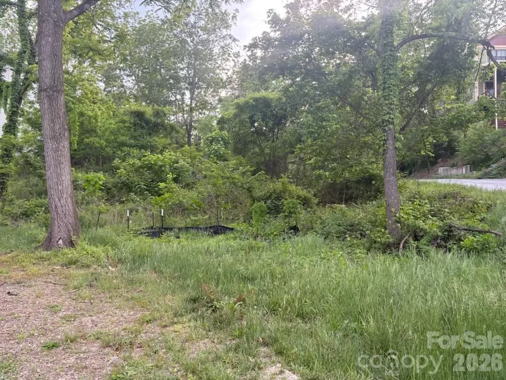 111 Waynesville Avenue Asheville, NC 28806