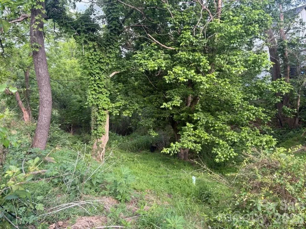 111 Waynesville Avenue Asheville, NC 28806