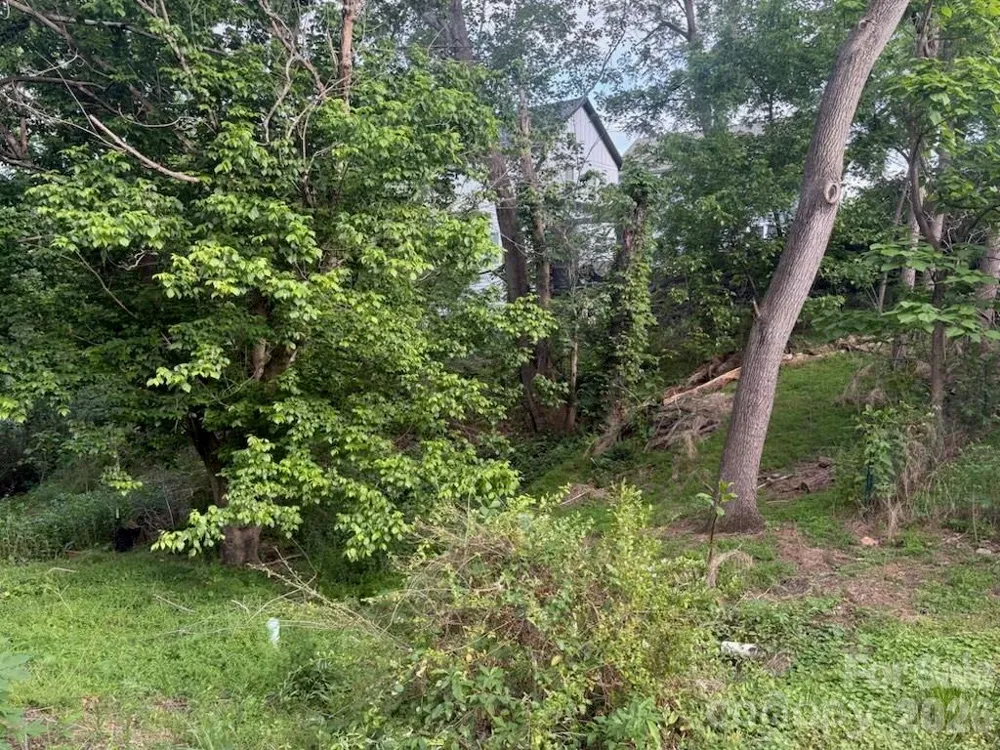 111 Waynesville Avenue Asheville, NC 28806