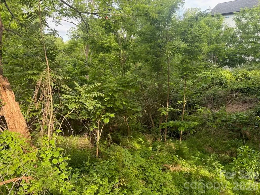 111 Waynesville Avenue Asheville, NC 28806