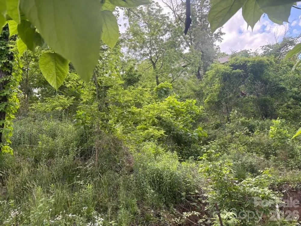 111 Waynesville Avenue Asheville, NC 28806