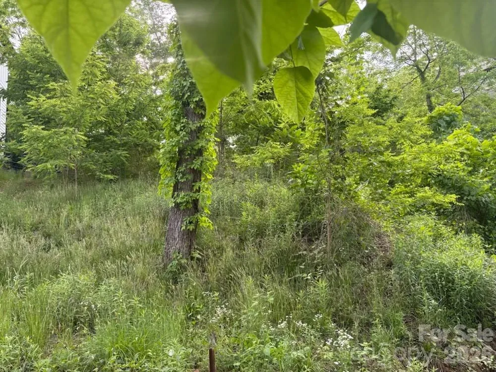 111 Waynesville Avenue Asheville, NC 28806