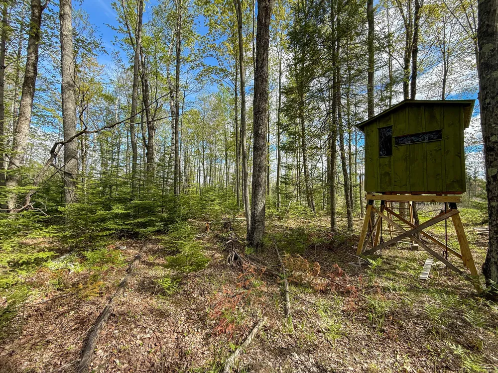 3 Mile Road Sears, MI 49679