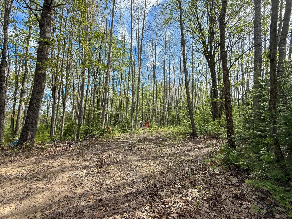 3 Mile Road Sears, MI 49679