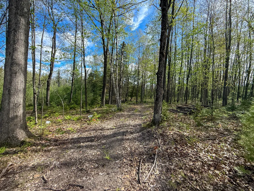 3 Mile Road Sears, MI 49679