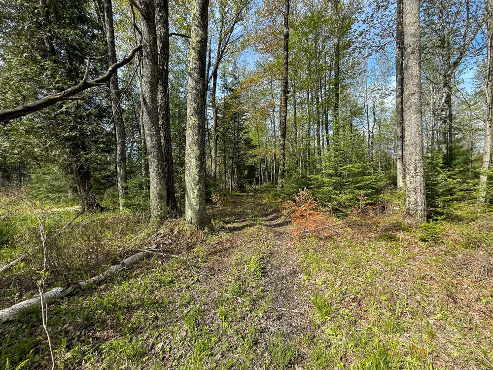 3 Mile Road Sears, MI 49679