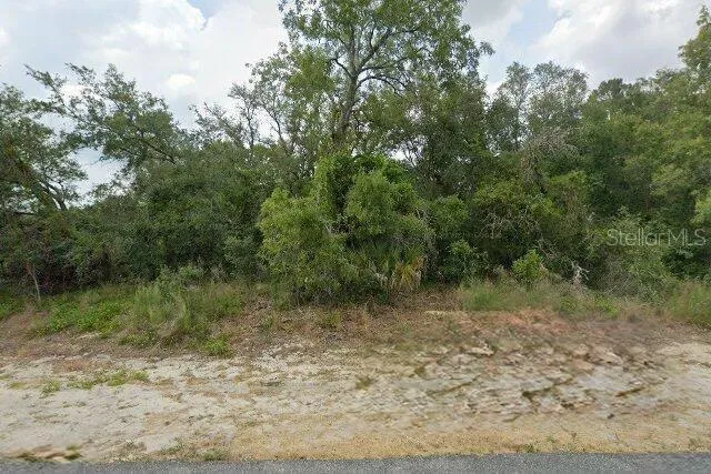 10381 CLARION STREET Spring Hill, FL 34608