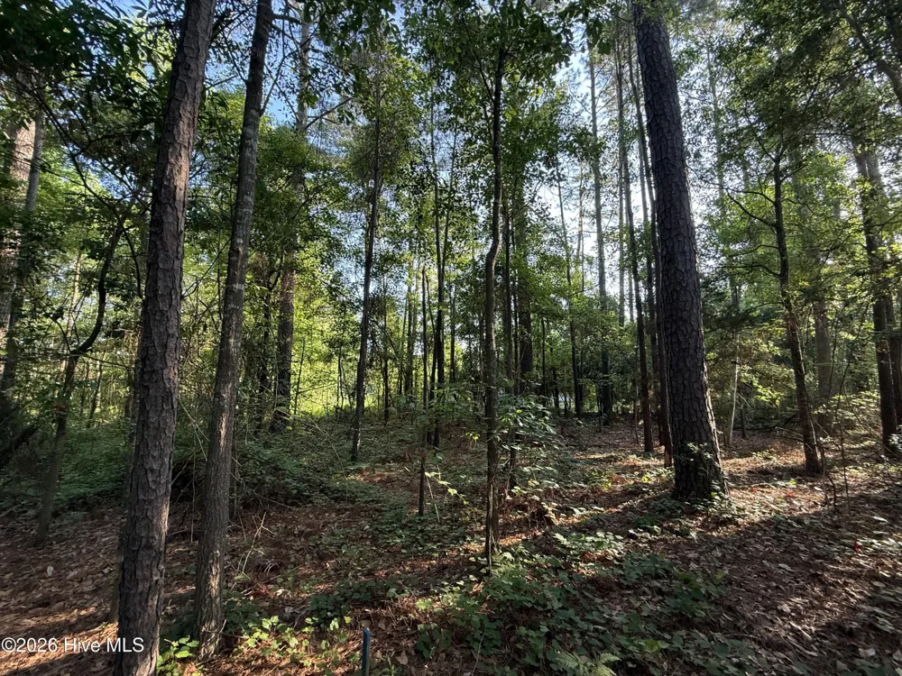 470 Acres Lane NW Calabash, NC 28467