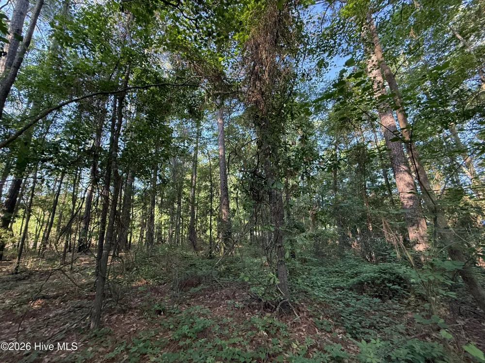 470 Acres Lane NW Calabash, NC 28467