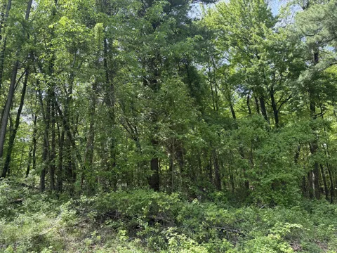Bailey Drive NE