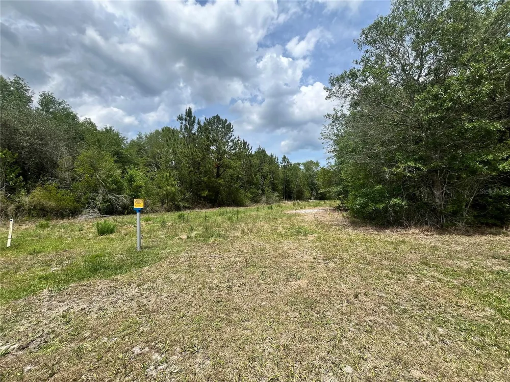 0 NW COUNTY ROAD 229 Starke, FL 32091