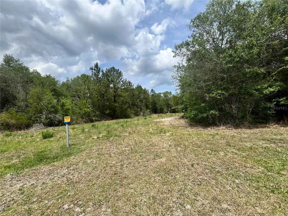 0 NW COUNTY ROAD 229 Starke, FL 32091