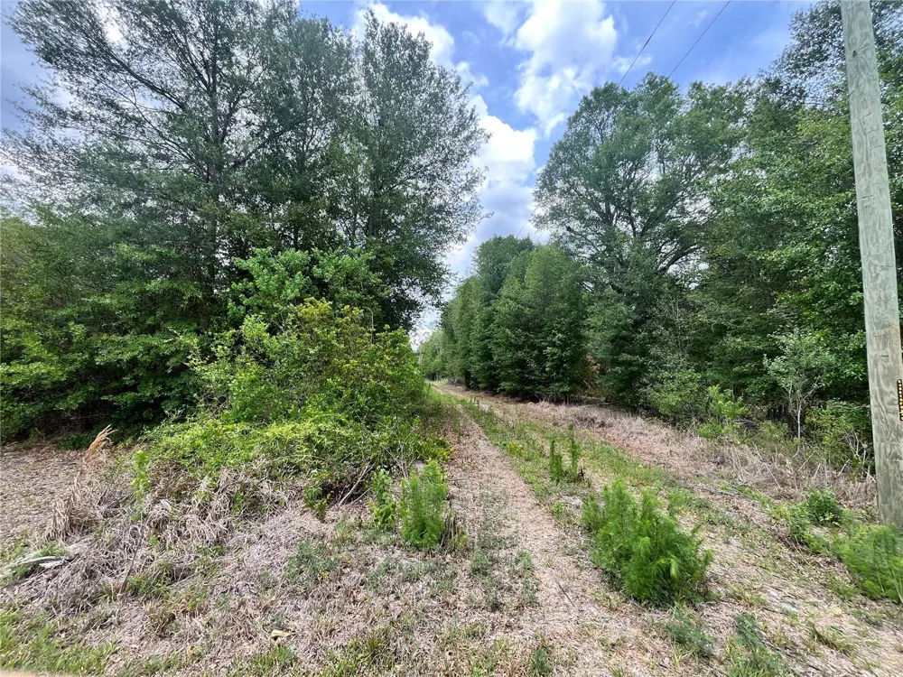 0 NW COUNTY ROAD 229 Starke, FL 32091
