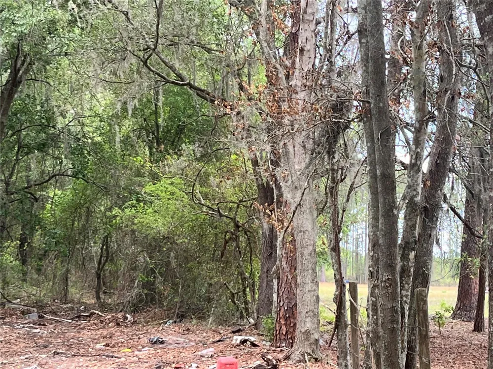 0 NW COUNTY ROAD 229 Starke, FL 32091