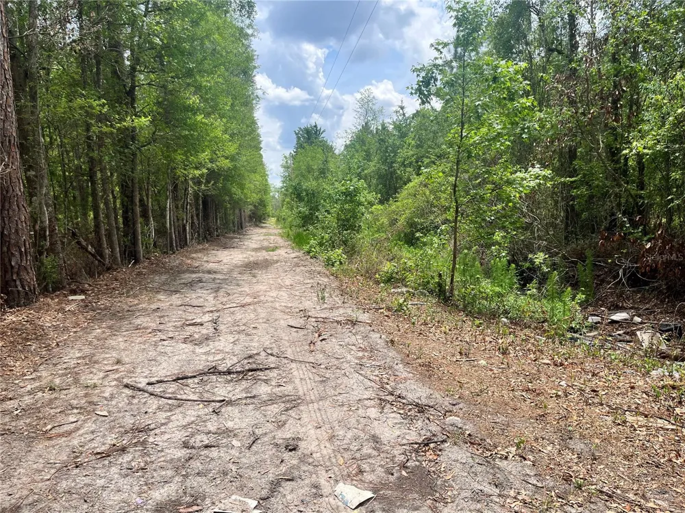 0 NW COUNTY ROAD 229 Starke, FL 32091