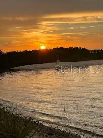 1008 APOLLO BEACH BOULEVARD #201 Apollo Beach, FL 33572