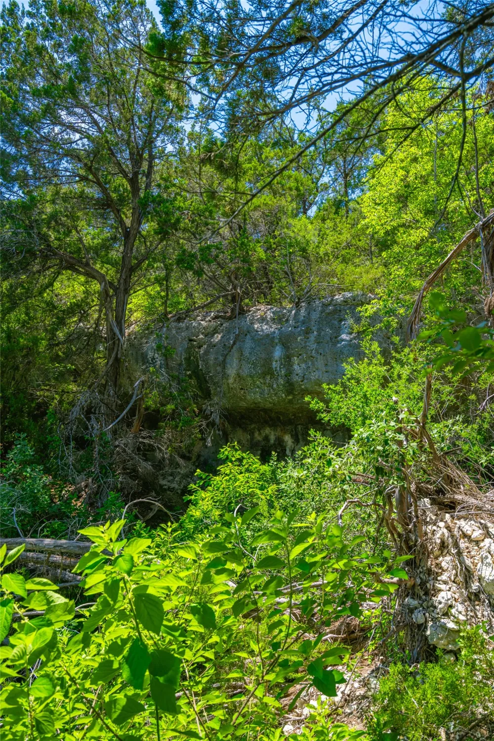 Trails End Road Leander, TX 78641