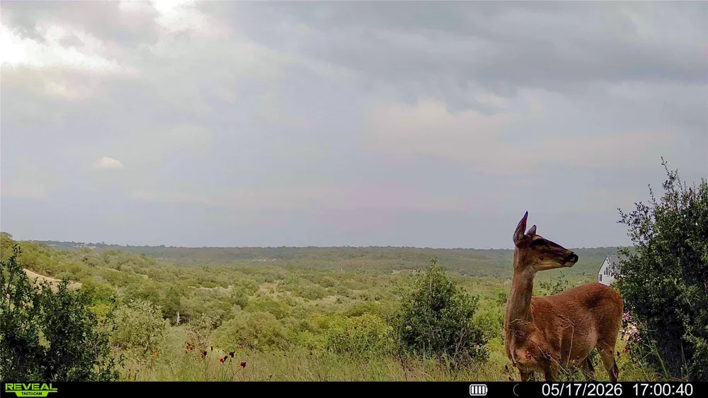 Trails End Road Leander, TX 78641