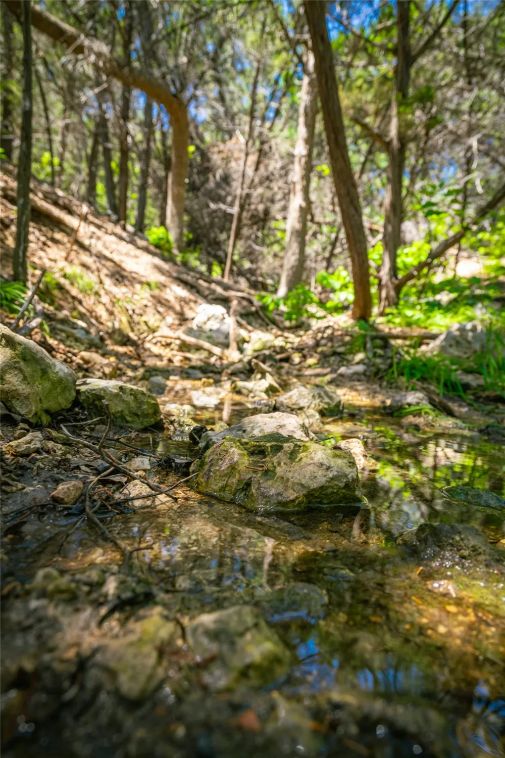 Trails End Road Leander, TX 78641