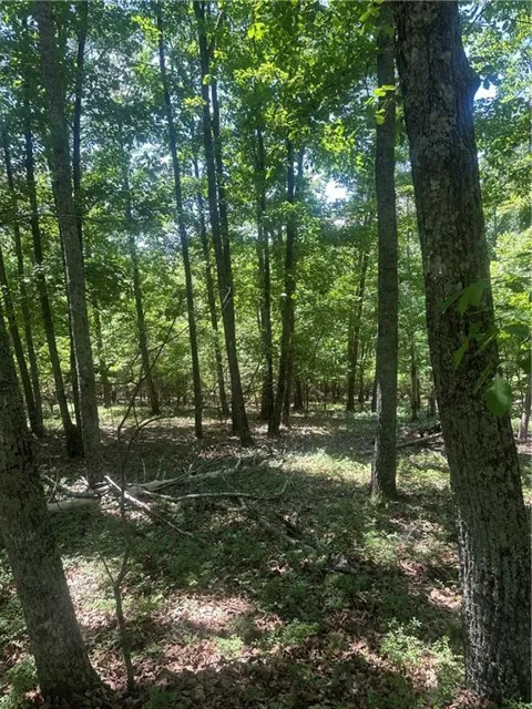 0 Owl Ridge Way