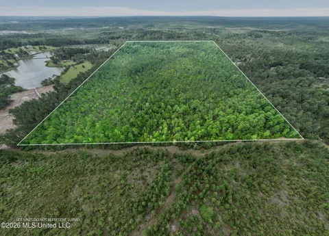 80 Acres Blue Wood Dr