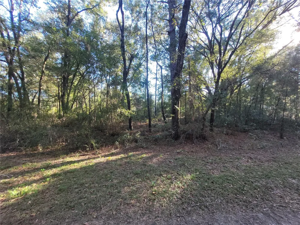 0 SW 22ND PLACE ocala, FL 34481