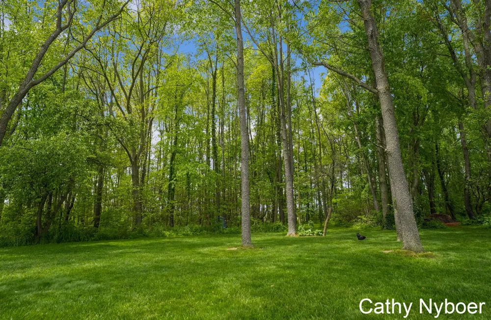 9188 W V AVENUE Prairie Ronde Township, MI 49087