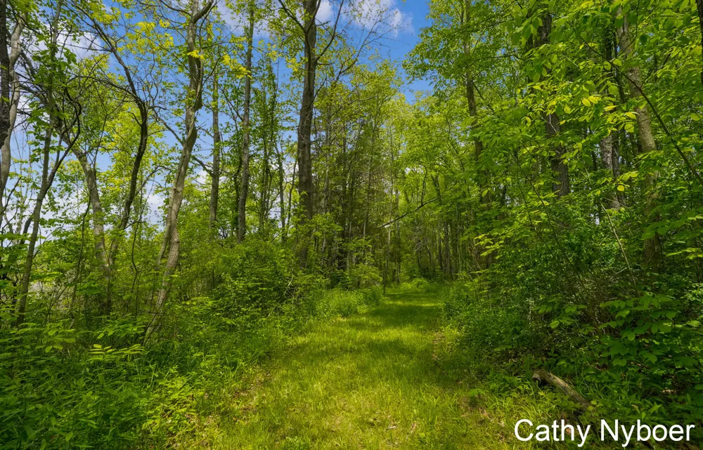 9188 W V AVENUE Prairie Ronde Township, MI 49087