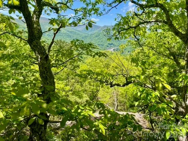 00000 Soco Road Maggie Valley, NC 28751