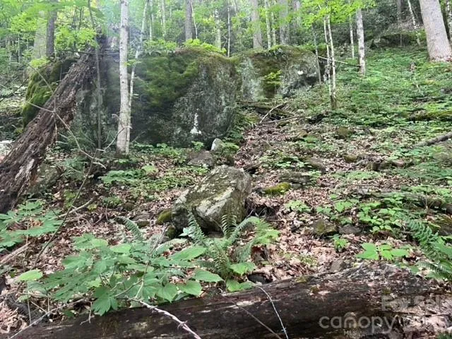 00000 Soco Road Maggie Valley, NC 28751