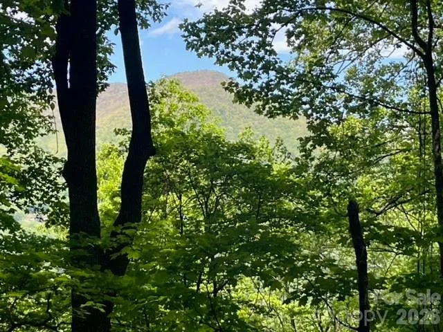 00000 Soco Road Maggie Valley, NC 28751