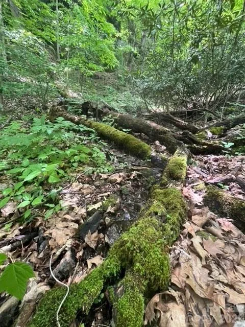00000 Soco Road Maggie Valley, NC 28751