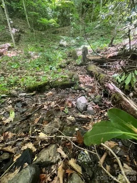 00000 Soco Road Maggie Valley, NC 28751