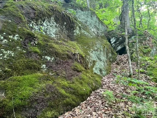 00000 Soco Road Maggie Valley, NC 28751