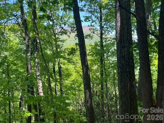 00000 Soco Road Maggie Valley, NC 28751