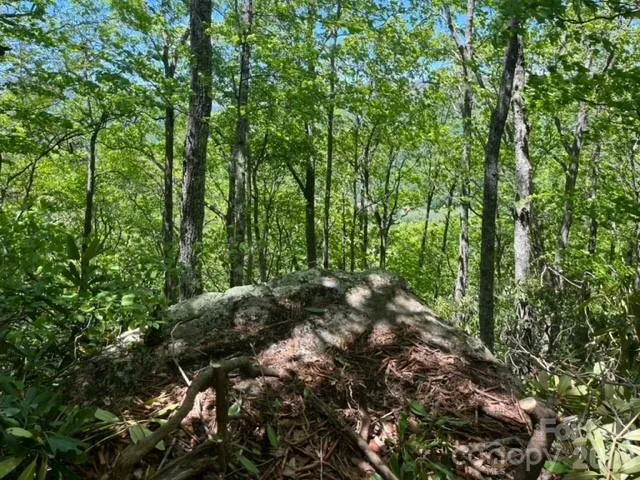 00000 Soco Road Maggie Valley, NC 28751