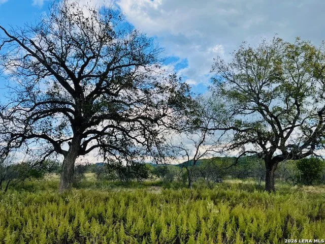4 ACRES CR 416 Uvalde, TX 78801