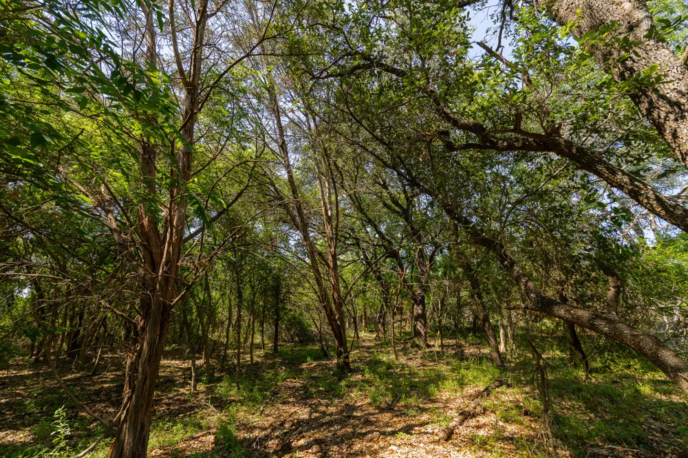 County Road 180 Rolling Pond Ranch Road Purmela, TX 76566