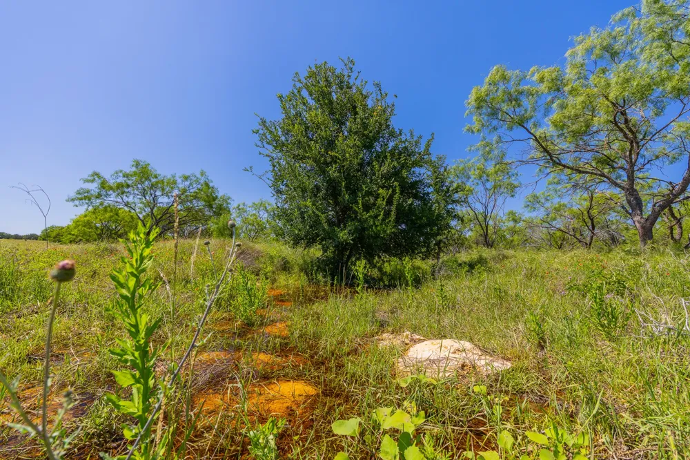 County Road 180 Rolling Pond Ranch Road Purmela, TX 76566