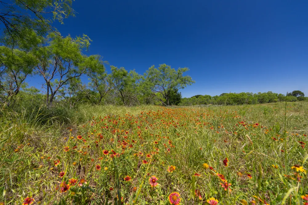 County Road 180 Rolling Pond Ranch Road Purmela, TX 76566