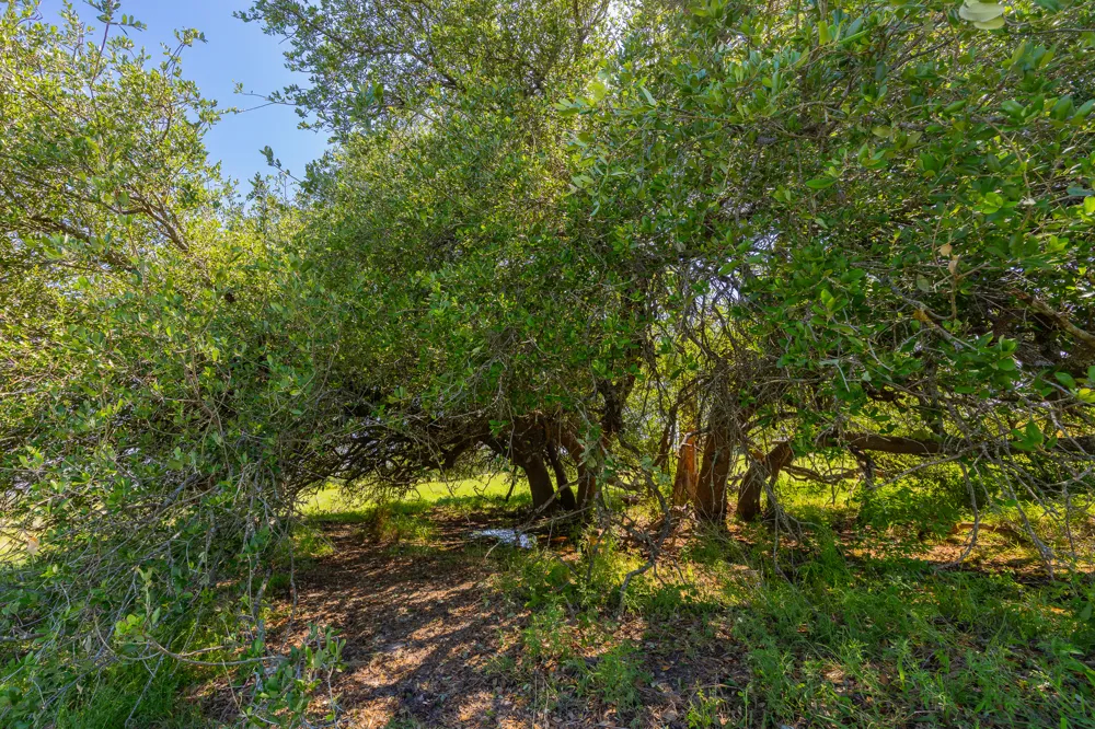 County Road 180 Rolling Pond Ranch Road Purmela, TX 76566