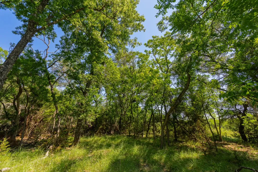 County Road 180 Rolling Pond Ranch Road Purmela, TX 76566
