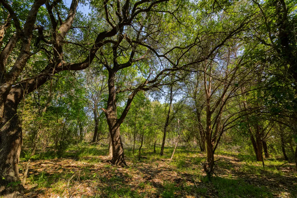 County Road 180 Rolling Pond Ranch Road Purmela, TX 76566