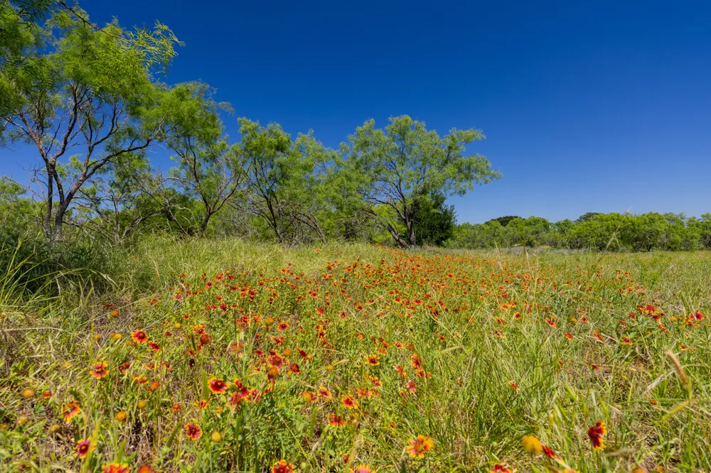 County Road 180 Rolling Pond Ranch Road Purmela, TX 76566