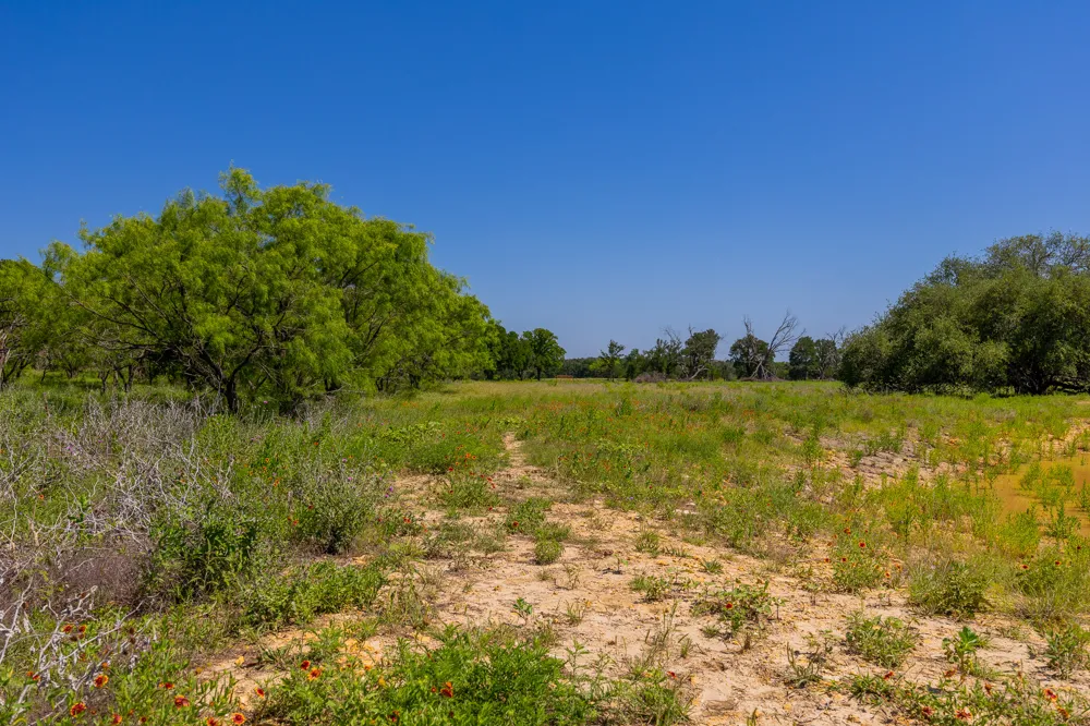 County Road 180 Rolling Pond Ranch Road Purmela, TX 76566